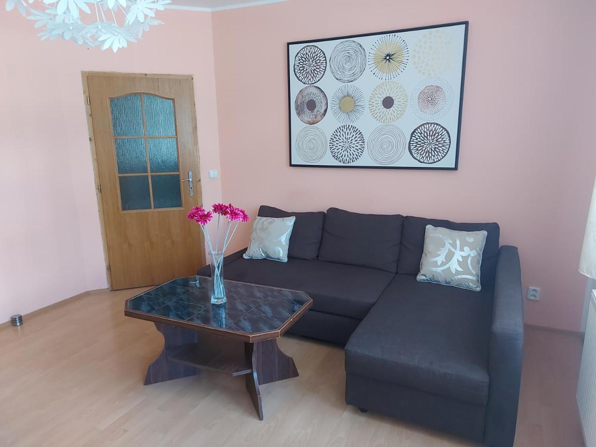 Apartmán Jáchymov Krušné hory Exterior foto
