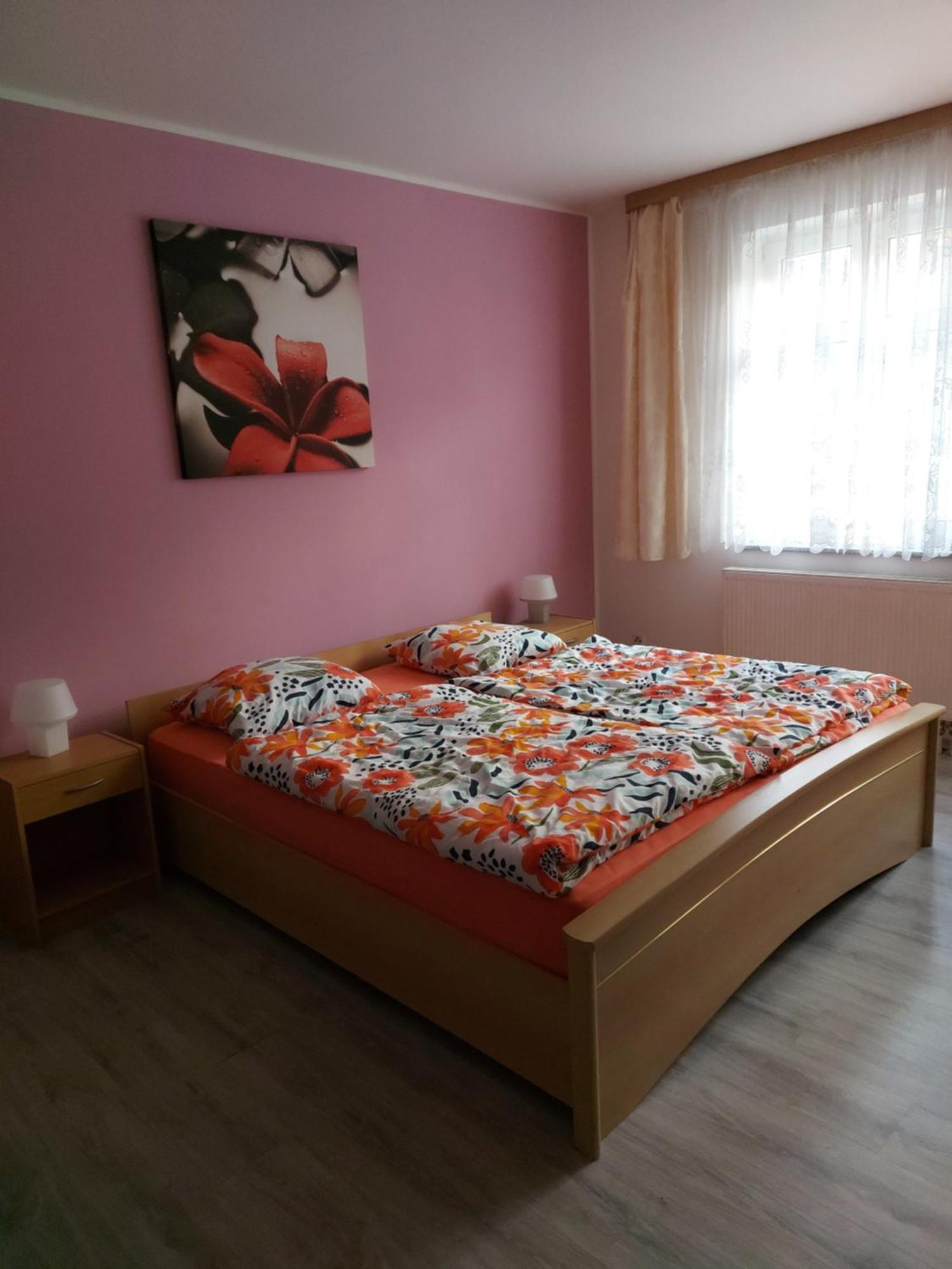 Apartmán Jáchymov Krušné hory Exterior foto